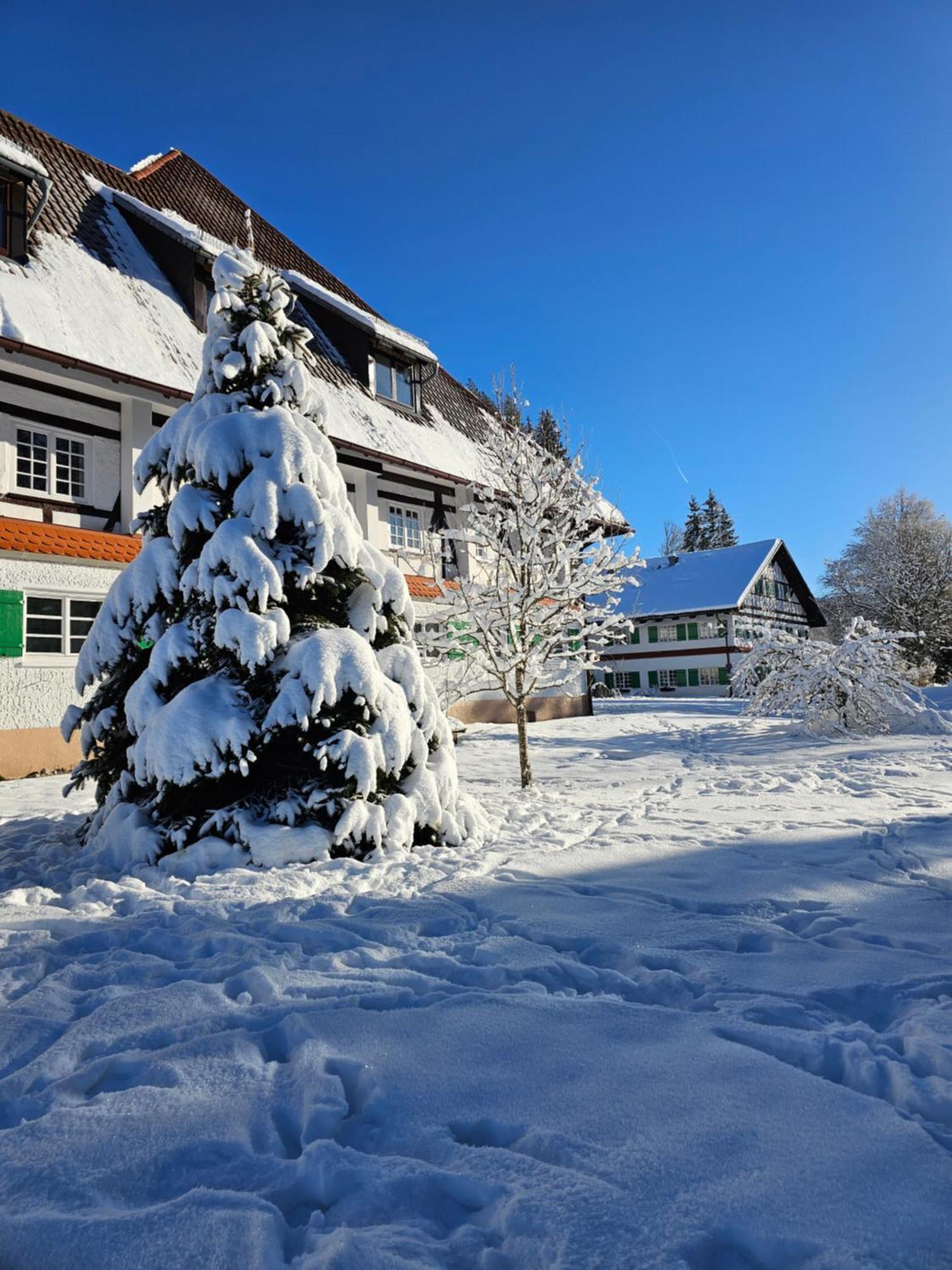 Allgaeu Residenz Natur & Spa Gmbh Wiggensbach Exterior foto