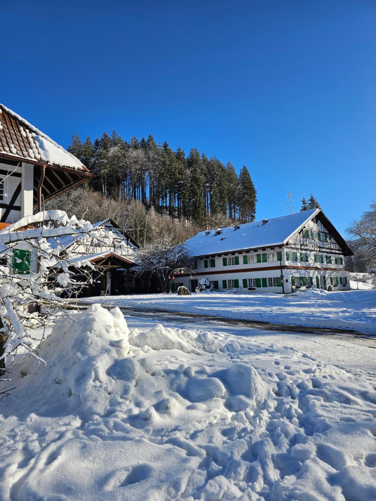 Allgaeu Residenz Natur & Spa Gmbh Wiggensbach Exterior foto